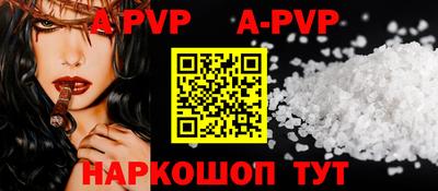 гашик Моздок