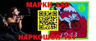 гашик Моздок