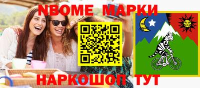 гашик Моздок