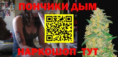 гашик Моздок