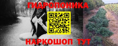 гашик Моздок