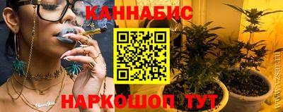 гашик Моздок