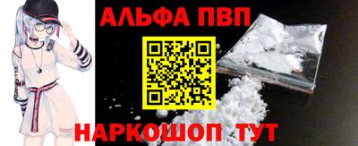 гашик Моздок