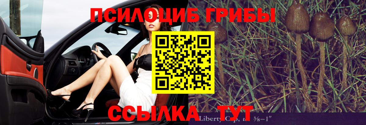 даркнет сайт  Вход с VPN  Владикавказ  Галлюциногенные грибы Cubensis 