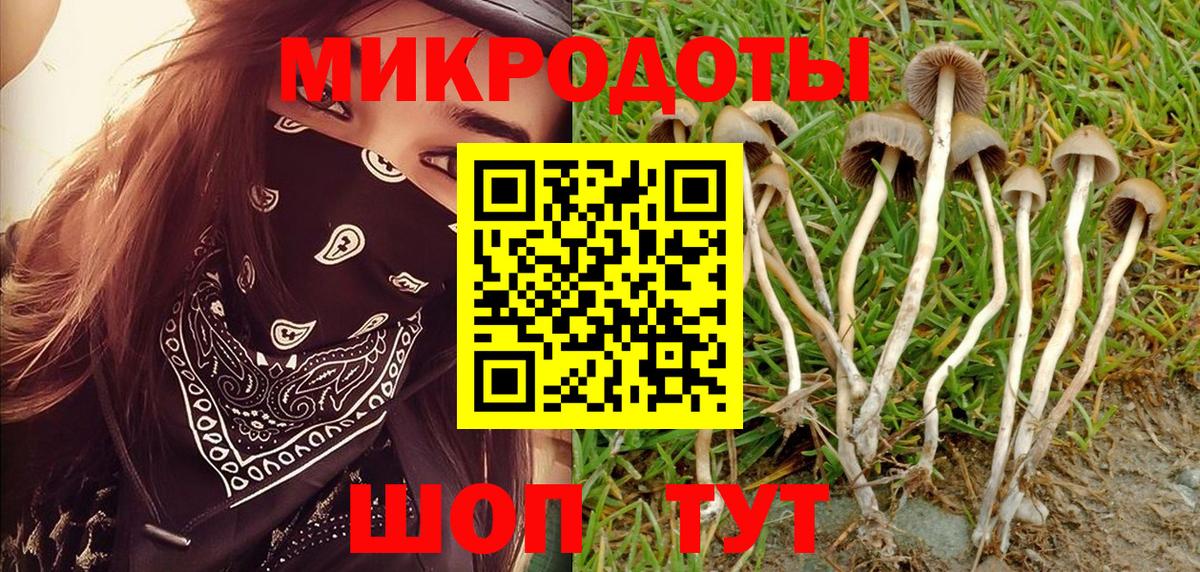 Псилоцибиновые грибы GOLDEN TEACHER Владикавказ